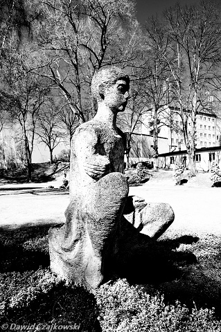 Chrobry-103x