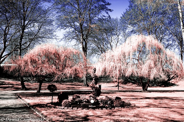 Chrobry-101x2